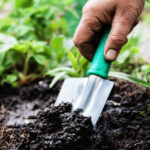 A woman's hand digs soil and soil with a shovel. Close-up, Concept of gardening, gardening.