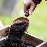 Water Vessel Gallery Image