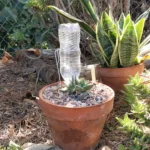 Cutting and Pruning Gallery Image